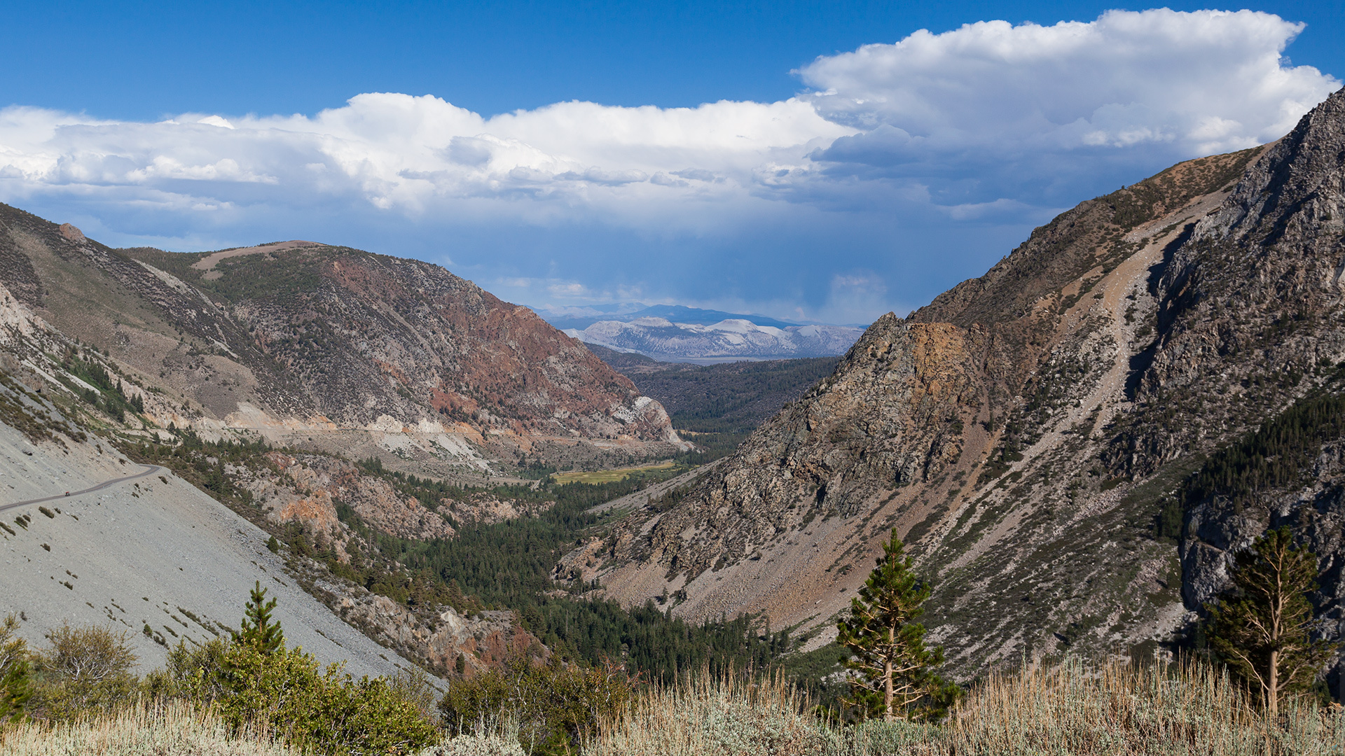Tioga road